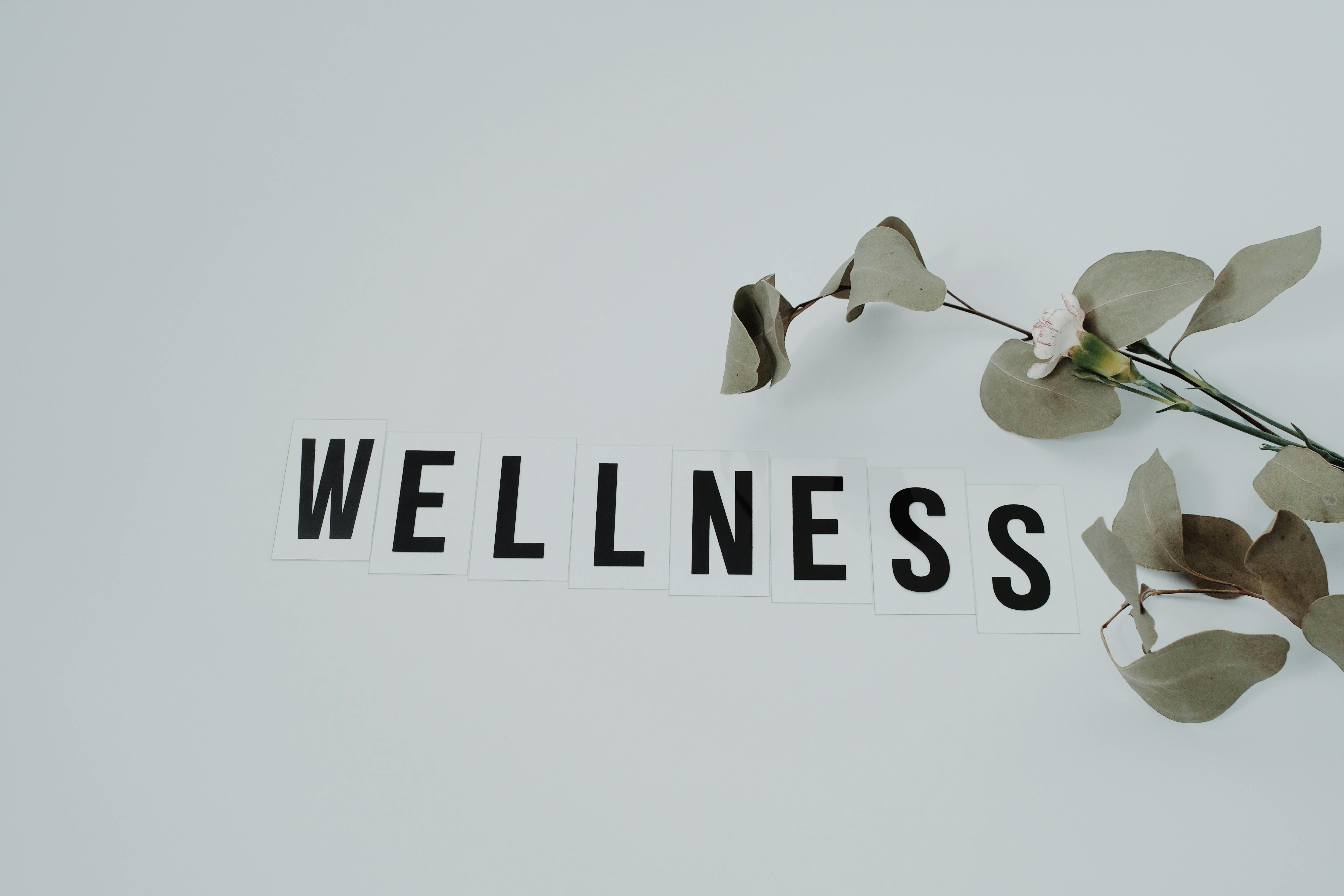 Welcome Home 104 Minimalist image of the word 'wellness' with eucalyptus branch, creating a serene vibe on white background.