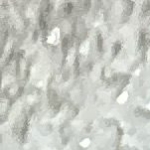 Picture of Ashleigh Pies